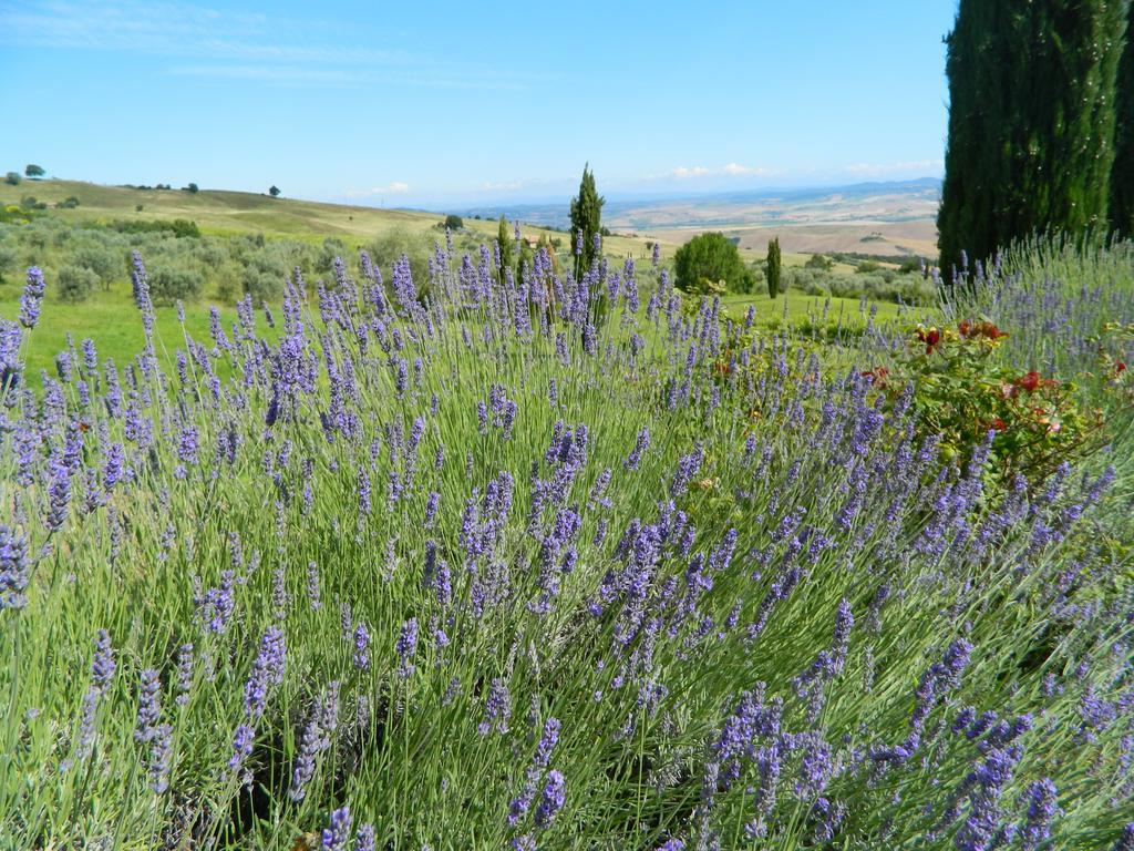 Villa Le Rogheta Campiglia dʼOrcia Esterno foto