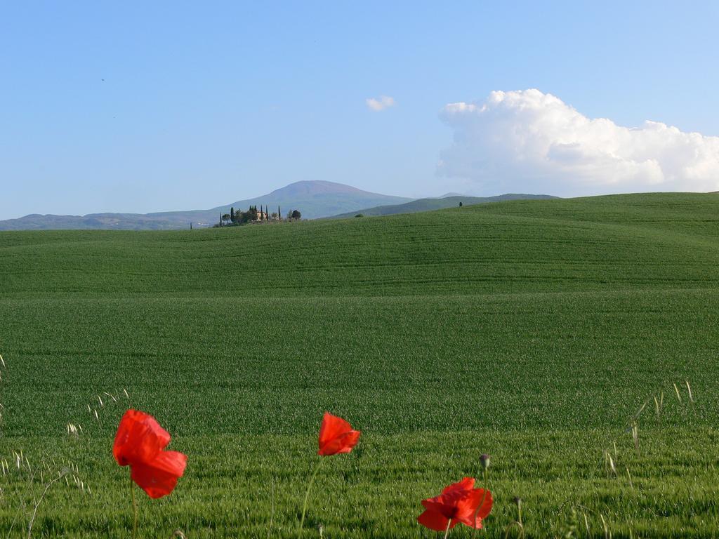 Villa Le Rogheta Campiglia dʼOrcia Esterno foto
